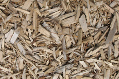 biomass boilers Golsoncott